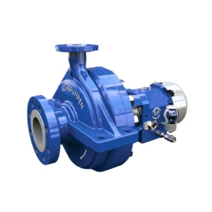 Ruhrpumpen SCE API Process Pump