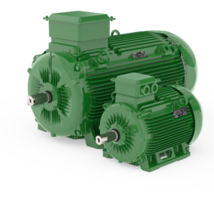 WEG Induction Motor - OITS Industrial Services